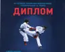 chempion-z-taekvon-do
