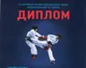 chempion-z-taekvon-do