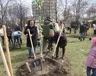 vesnyanij-subotnik-v-parku-vidradnij