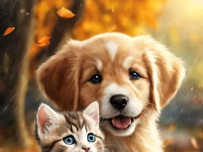 do-tvaryn-z-dobrotoiu