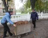 den-blagoustroyu-shkoli