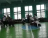 zmagannya-kozaczki-rozvagi