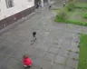den-dovkillya-25.04.2015