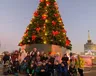 zimove-dozvillya-2020